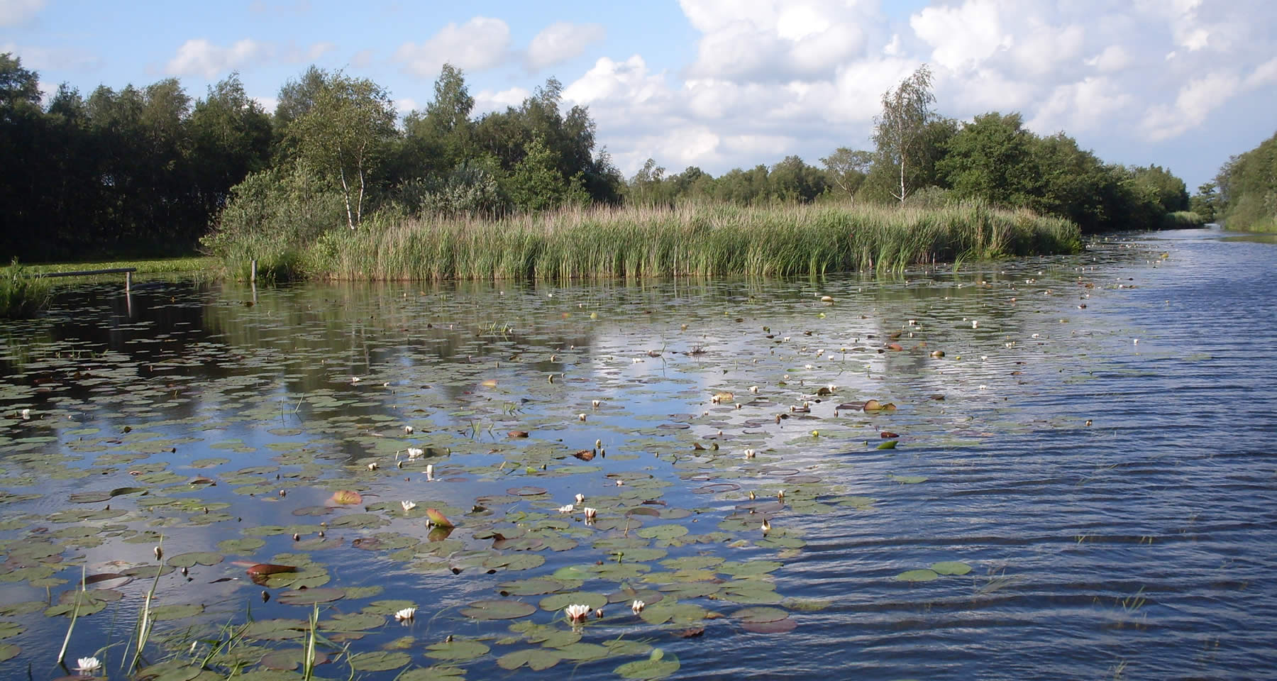 De Groene Wens Boot